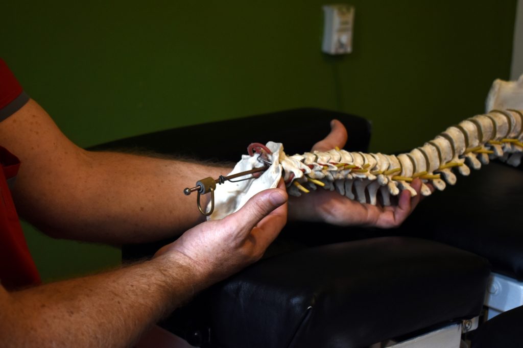 Escuela de Osteopatía