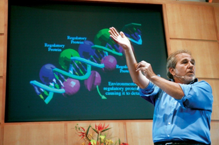 Bruce lipton