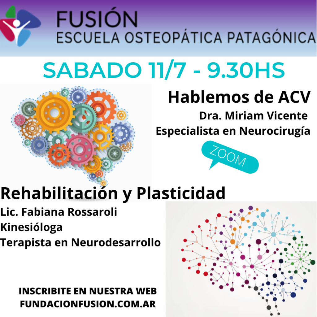 Hablemos de A.C.V. - Rehabilitación y Plasticidad